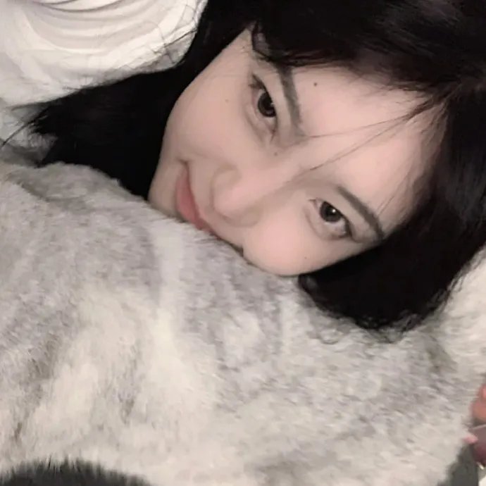 捕蝇纸