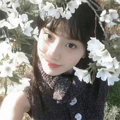 琼森帮的夏令营